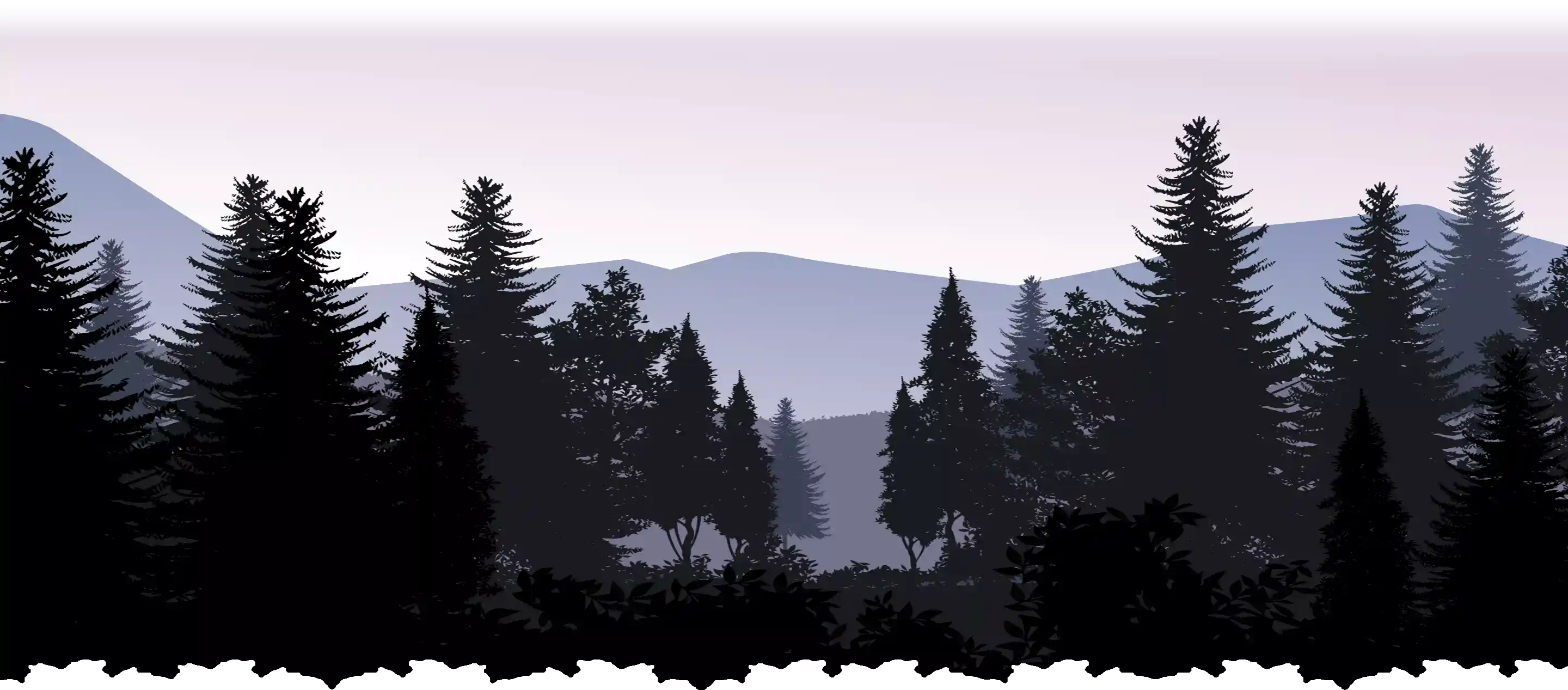 forest bg