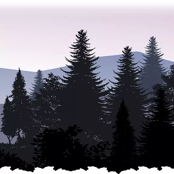 forest bg